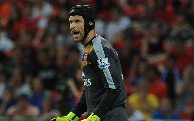 Petr Cech