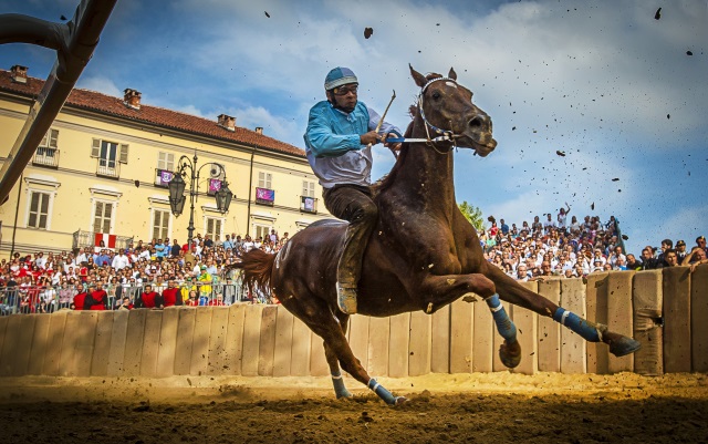 palio