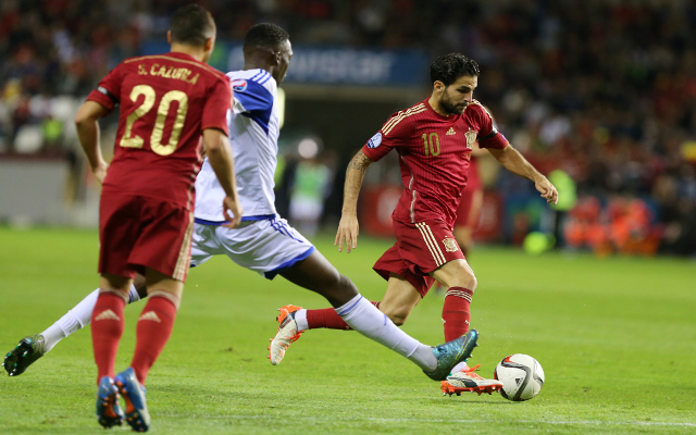 Cesc Fabregas Spain