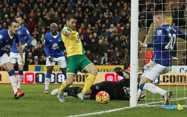 Wes Hoolahan Norwich v Everton