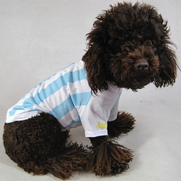 dog in Argentina shirt