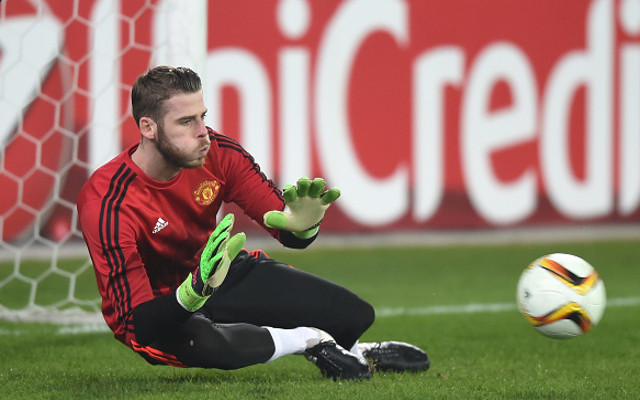 David de Gea Manchester United