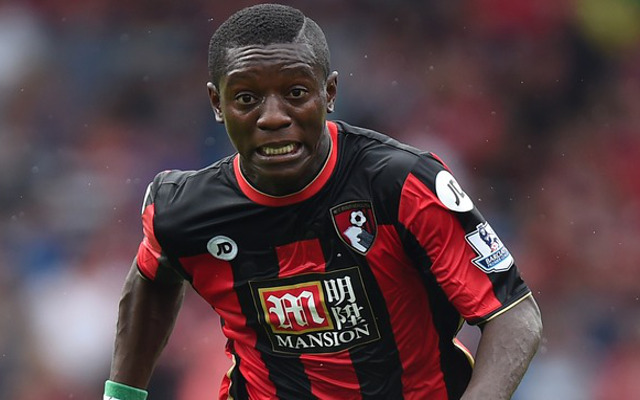 Max Gradel Bournemouth