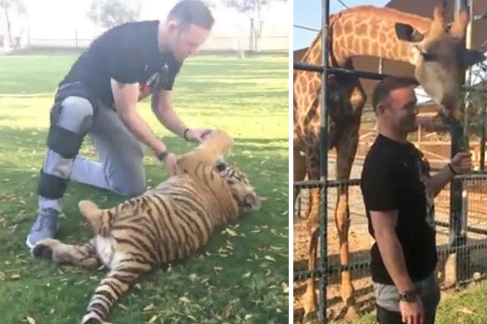 Wayne Rooney at the zoo