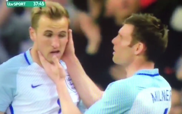 Harry Kane and James Milner