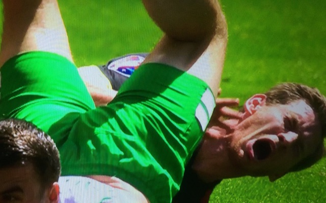Jan Vertonghen in pain