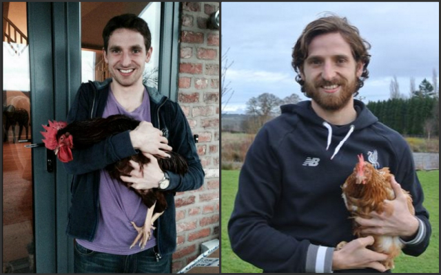 Joe Allen chickens