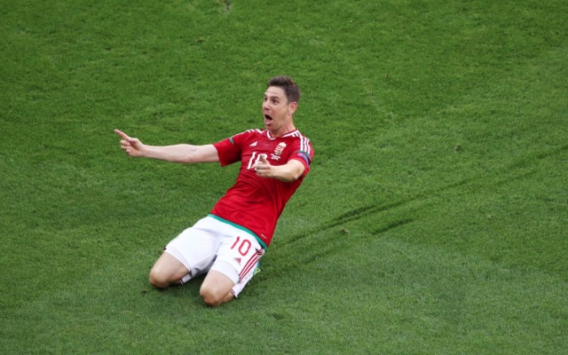 Zoltan Gera Hungary