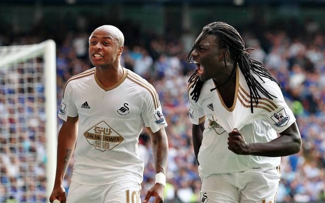 Andre Ayew & Bafetimbi Gomis