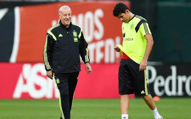 Vicente del Bosque