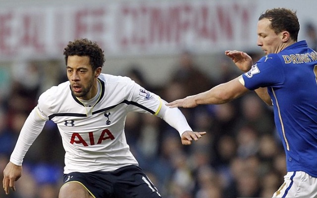Mousa Dembele, Danny Drinkwater