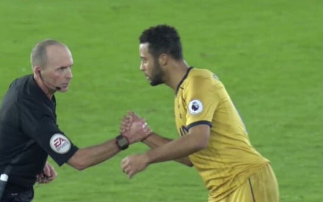 Mike Dean, Mousa Dembele handshake