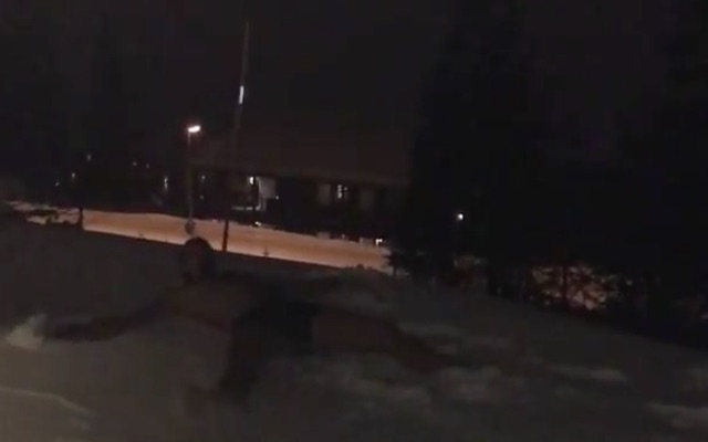 Zlatan Ibrahimovic snow angel