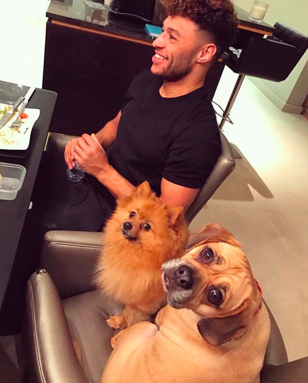 Perrie Edwards posts Alex Oxlade-Chamberlain dog photo on Instagram