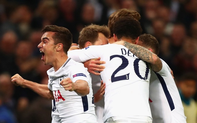 Harry Winks celebrates Tottenham goal v Real Madrid