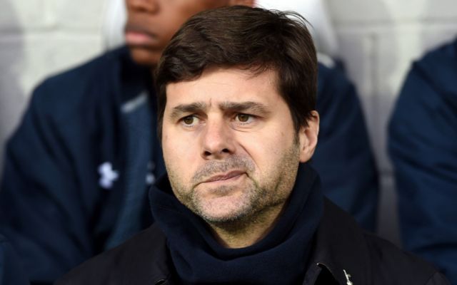 Spurs boss Mauricio Pochettino