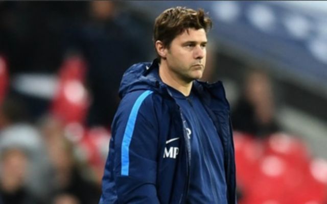 Spurs boss Mauricio pochettino
