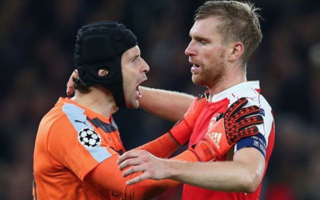 Arsenal's Petr Cech