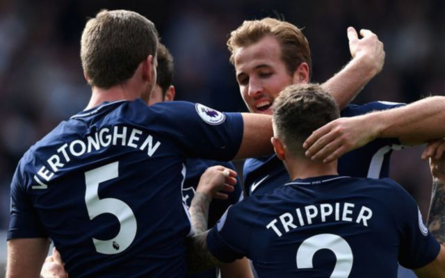 Tottenham defender Jan vertonghen