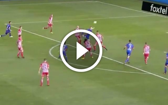 Riley McGree goal Newcastle Jets