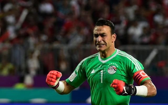 El Hadary Egypt World Cup