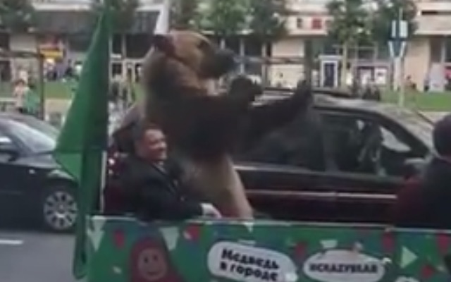 The bear then made an aggressive gesture with its front left paw