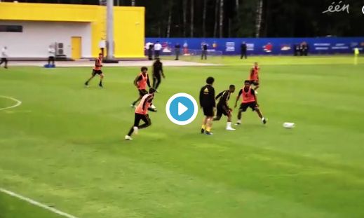 de bruyne januzaj