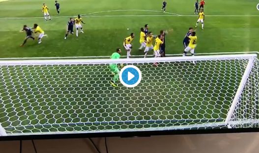 osako goal