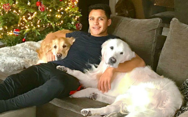 alexis sanchez dogs