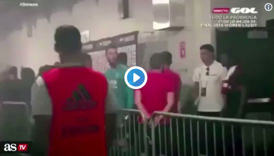 de gea asensio