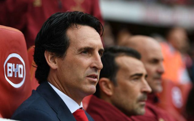 emery arsenal man city