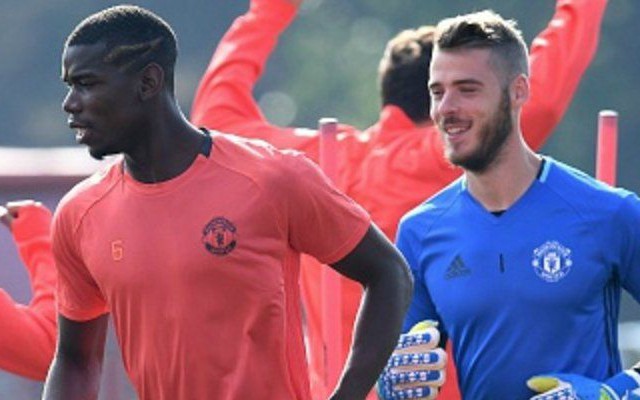 pogba de gea