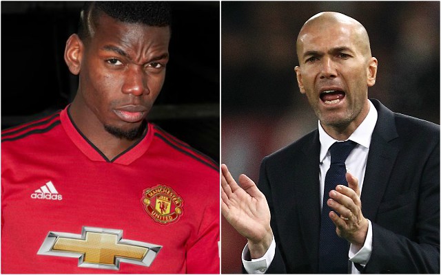 pogba zidane