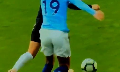 sane video