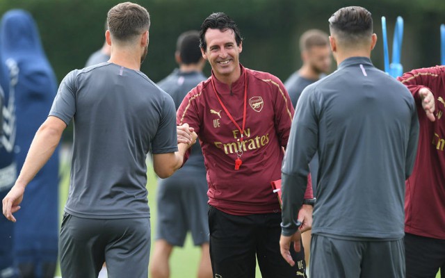 emery arsenal training