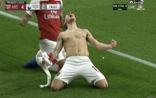 Torreira