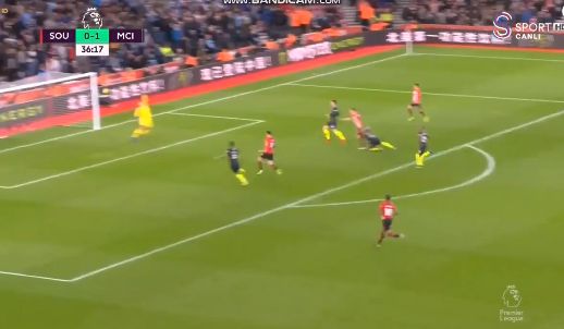 hojbjerg-goal-video
