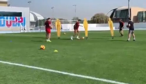 ox training video