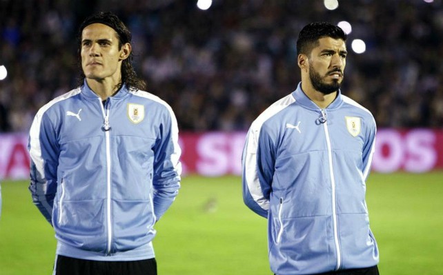 cavani suarez