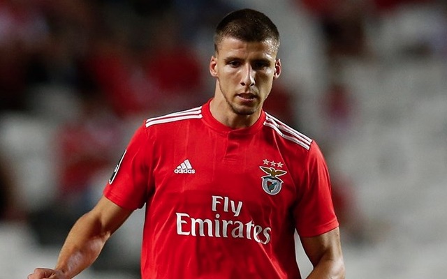 Benfica defender Ruben Dias