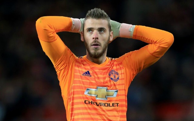man united goalkeeper david de gea