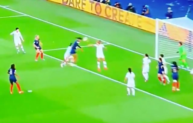 Renard-goal-France