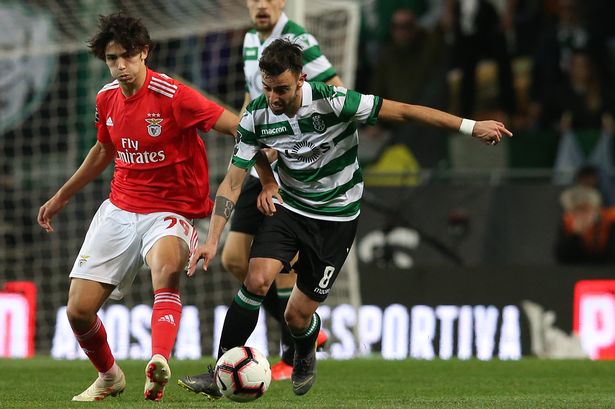 felix-fernandes-benfica-sporting