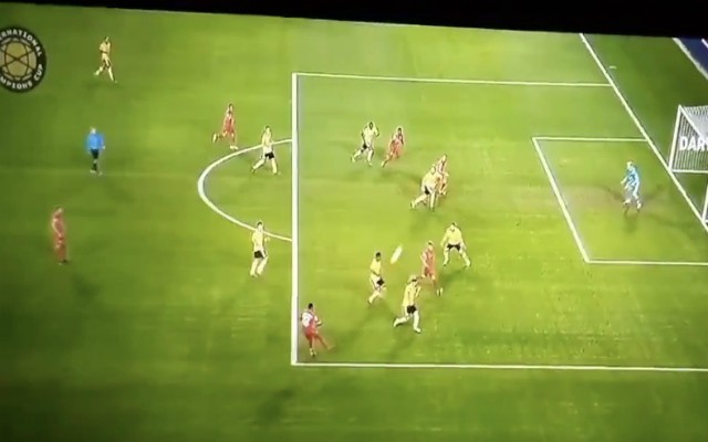 Mustafi-