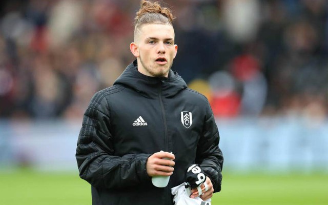harvey-elliott-fulham