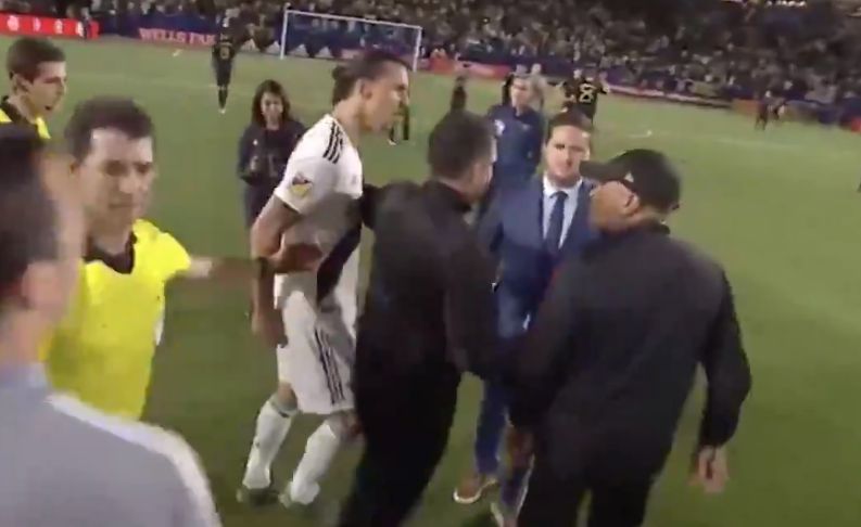 zlatan-go-home-little-bitch