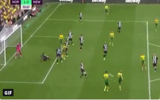 pukki-volley