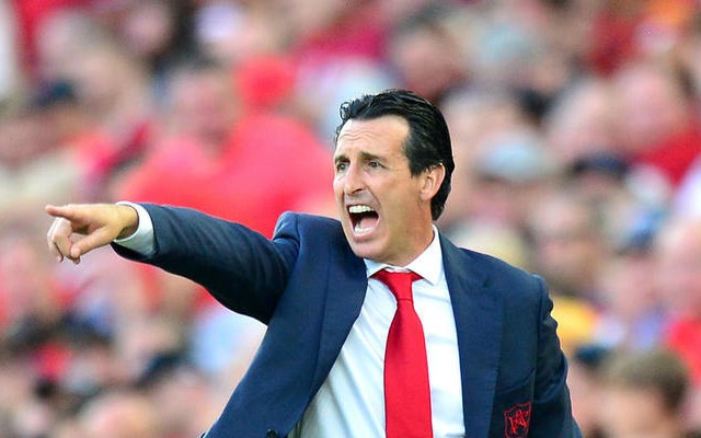 Emery Arsenal new signings