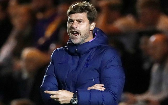 Pochettino Tottenham