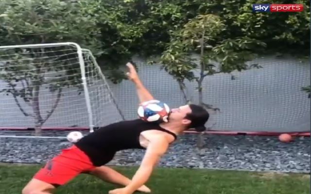 zlatan-matrix